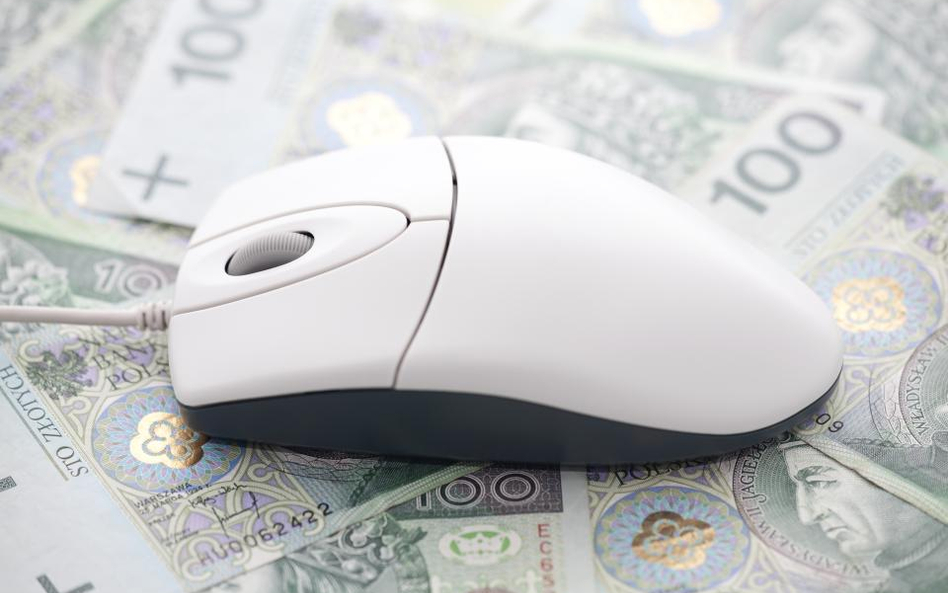 Portal dłużników dopiero od lipca 2018 roku