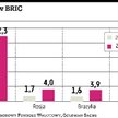 Kraje BRIC spróbują mówić jednym głosem