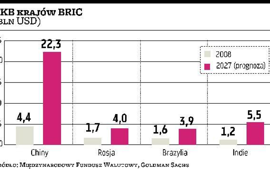 Kraje BRIC spróbują mówić jednym głosem