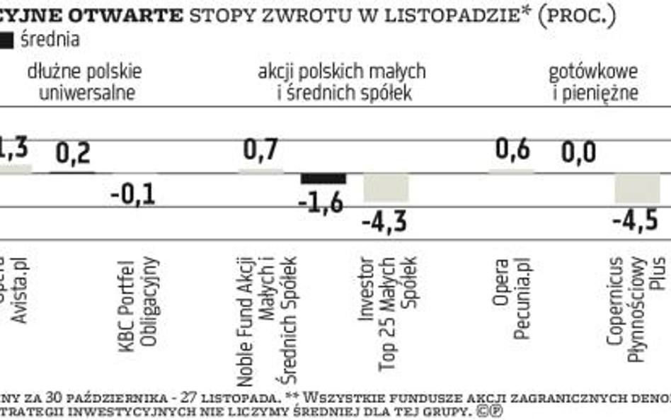 Stopy zwrotu funduszy: W październiku polski rynek akcji próbował się dźwignąć z kolan. W listopadzie został ponownie znokautowany