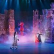 Musical "Shrek", fot. Piotr Manasterski