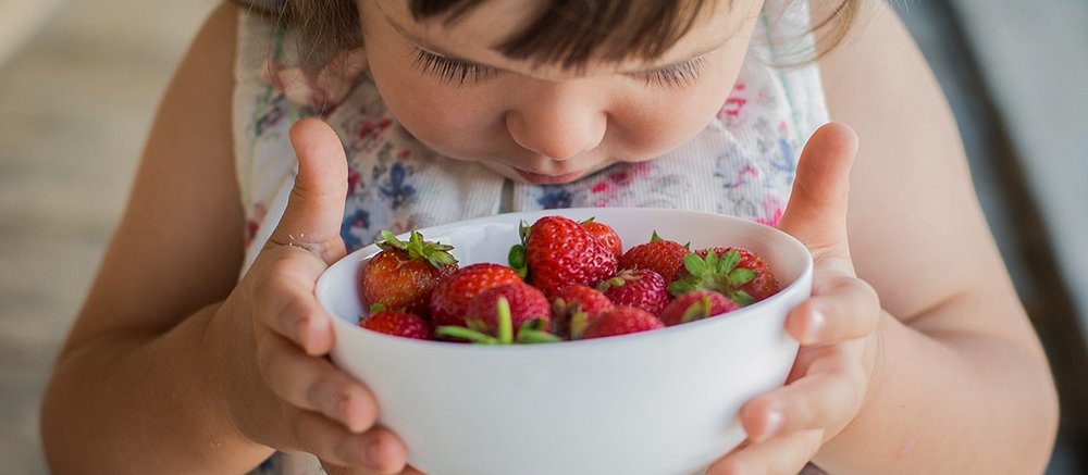 Truskawki, czyli jak powstaje matryca do badania metali i mikroplastiku w żywności