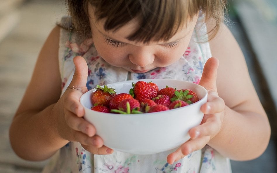Mając do wyboru dwa najpopularniejsze owoce uprawiane w Polsce – jabłka i truskawki – badacze zdecyd