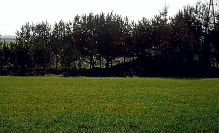 Nasielsk (ok. 50 km od Warszawy), pow.: 918 mkw., cena: 71 tys. zł
