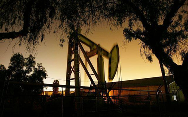 Petrolinvest: podniesienie kapitału pozwoli na rozpoczęcie wydobycia w Shyrak