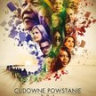 Cudowne powstanie RPA na HISTORY