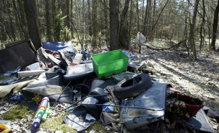 Dzikie wysypisko w jednym z podwarszawskich lasów