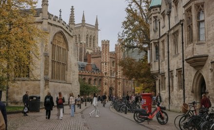 Dzięki wsparciu EduCat uczniowie dostali się na najbardziej prestiżowe uczelnie, takie jak Oxford, C