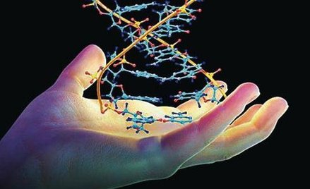 Genetyczne wytnij – wklej