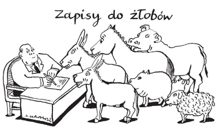 Rysuje Andrzej Krauze