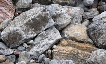 Kiedy sprzedaż przez rolnika nie wymaga ewidencjonowania