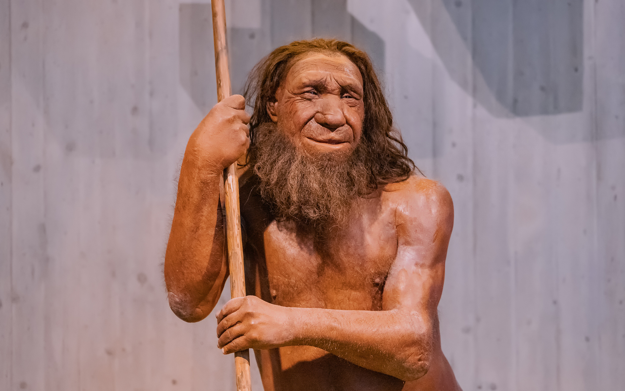 Przełomowe odkrycie archeologów. „Kwestionuje nasze rozumienie historii ludzkości"