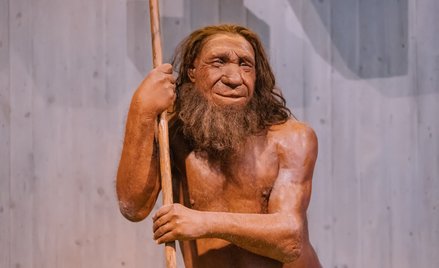 Archeolodzy odkryli w Chinach pozostałości kamiennych narzędzi z czasów środkowego paleolitu