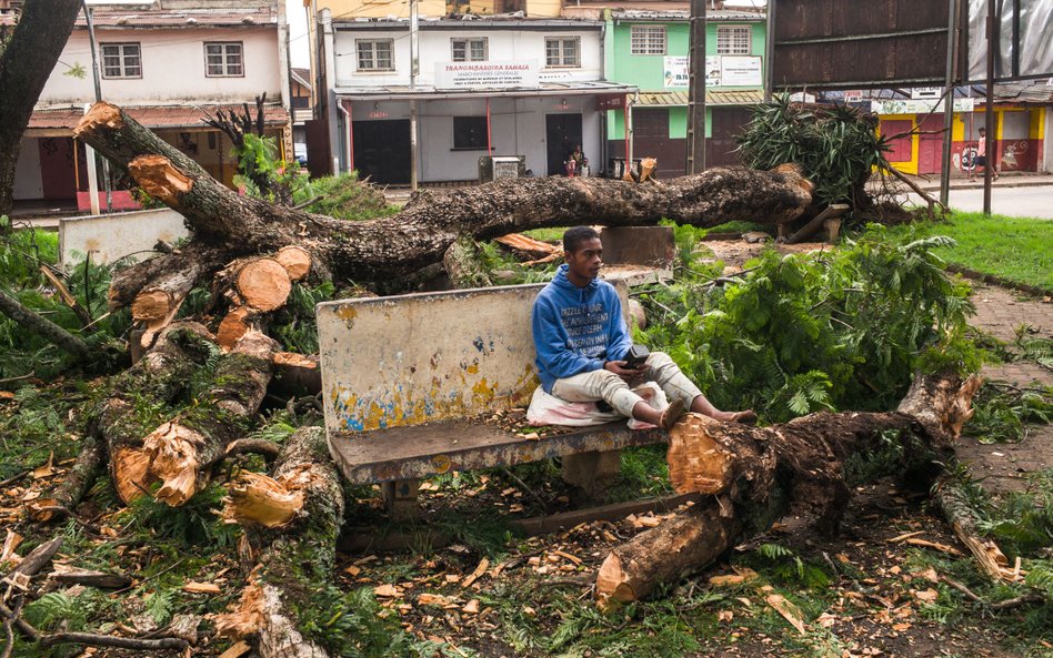 Powalone przez wichurę drzewa w mieście Antsirabe w środkowej części Madagaskaru