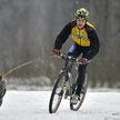 Szalony tandem: kolarz i pies