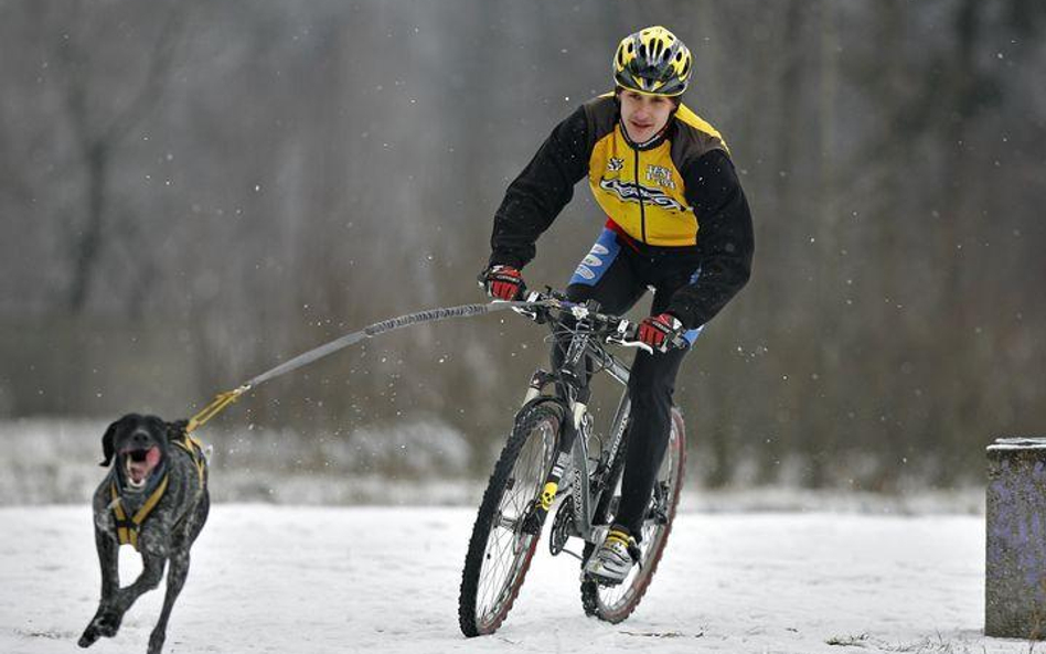 Szalony tandem: kolarz i pies