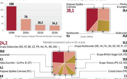 KSC konkuruje w Polsce z europejskimi potentatami