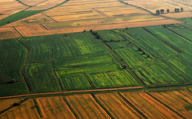 Swoboda obrotu ziemią: będzie można handlować gruntami rolnymi o powierzchni do 30 arów