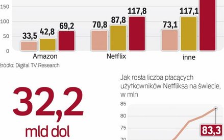 popularność serwisów z wideo w internecie