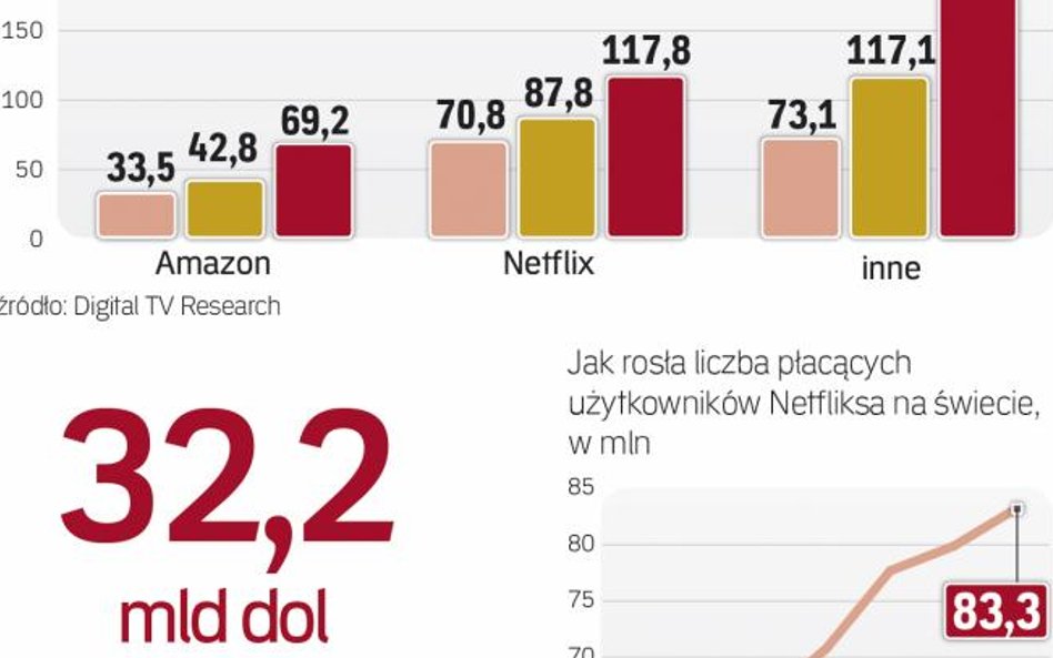 popularność serwisów z wideo w internecie