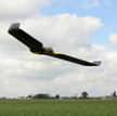 Samolot pasażerski był bliski zderzenia z dronem