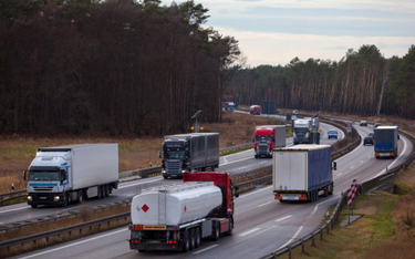 Ekspert o propozycji KE: koszty polskich transportowców 29 proc. w górę