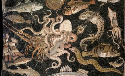 Owoce ze słonych sadów