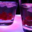 Zakaz podawania alkoholu dotyczy tylko miejsc o szczególnym charakterze