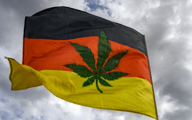 Legalny zakup marihuany do celów rekreacyjnych. Rząd Niemiec przedstawia plan