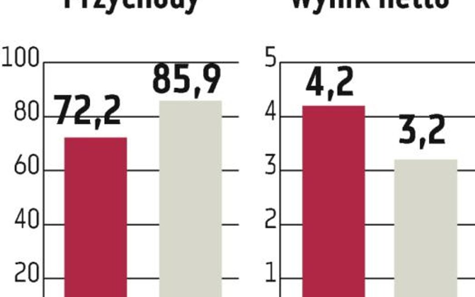 Remak: Roczny zysk będzie lepszy niż w 2010 r.