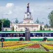 W mieście jest 41 linii dziennych i sześć nocnych, obsługiwanych przez 251 autobusów