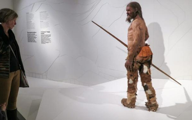 Ötzi zginął od strzały z łuku po opuszczeniu rodzinnej wioski, nie spodziewał się tego.