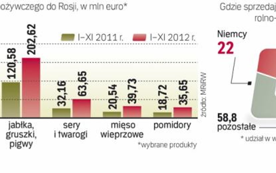 Pod koniec 2012 r. Rosja awansowała na czwarte miejsce wśród największych rynków eksportowych naszyc