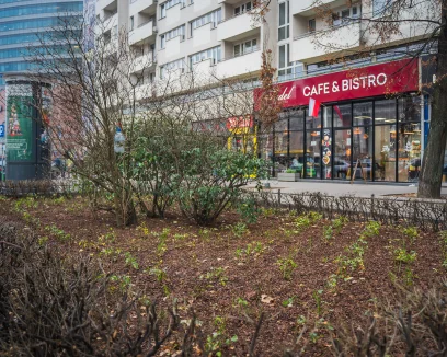 Za kilka miesięcy w Śródmieściu zakwitną duże krzewy, byliny, rośliny cebulowe i trawy ozdobne w róż