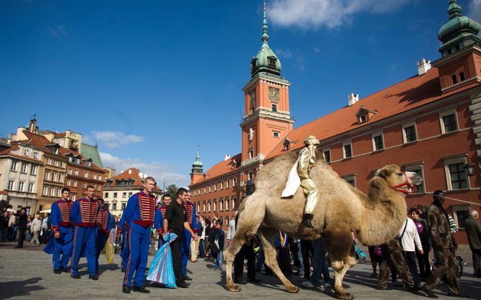 Warszawa. Ślub żywcem z cyrku