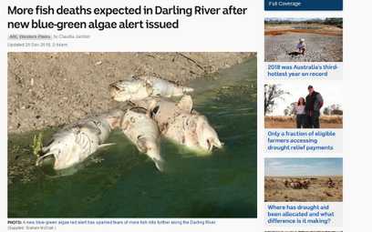 Australia: Milion martwych ryb na brzegach rzek. "Będzie gorzej"