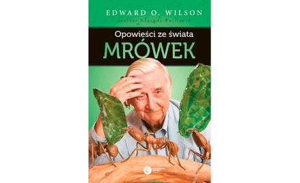 „Opowieści ze świata mrówek”. Mrówki rządzą światem