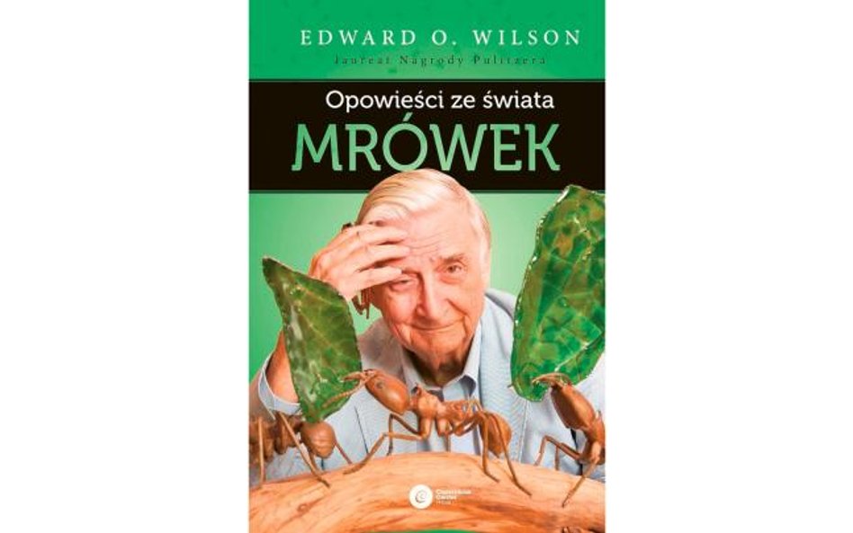 „Opowieści ze świata mrówek”. Mrówki rządzą światem