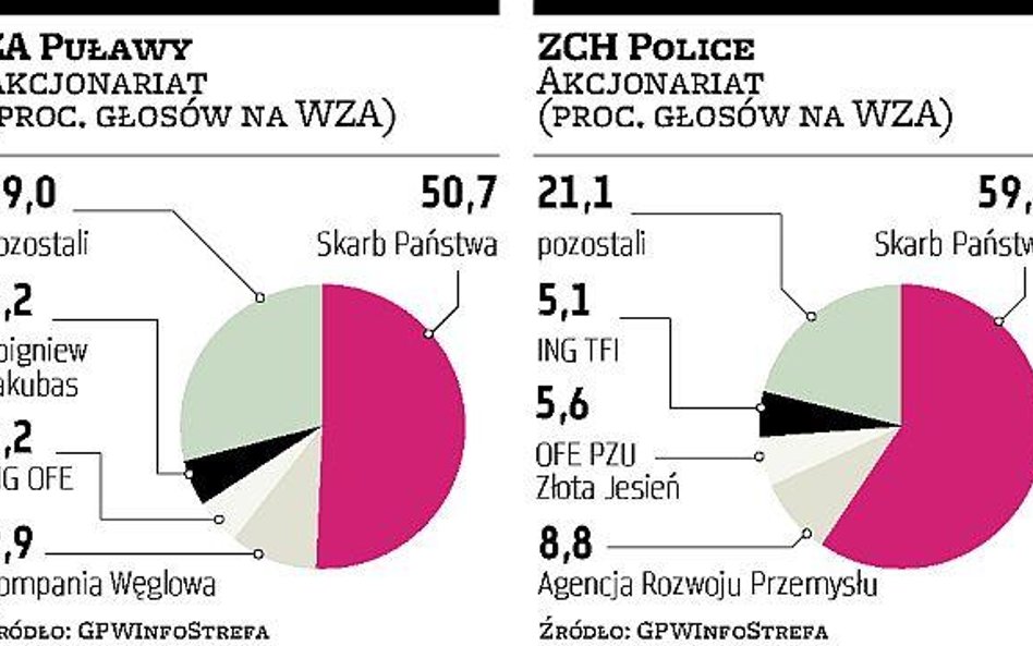 Ile będzie ofert na Police i Puławy?