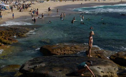 Plaża w Sydney