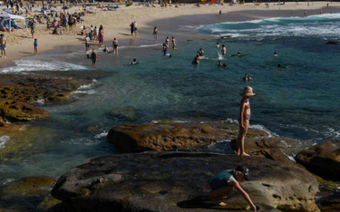 Plaża w Sydney