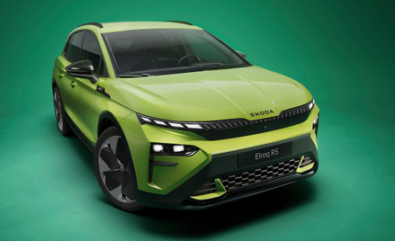 Skoda Erloq RS ma aż 340 KM mocy
