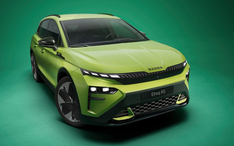Skoda Erloq RS ma aż 340 KM mocy