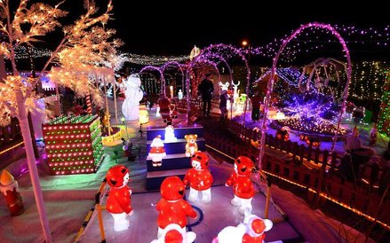 Cuda w prywatnym ogrodzie w Meyreuil we Francji.