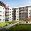 Nowe osiedle we Wrocławiu