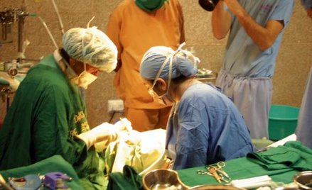 Na jednym silniku: film o doktorze Sharadkumar Dicksheet