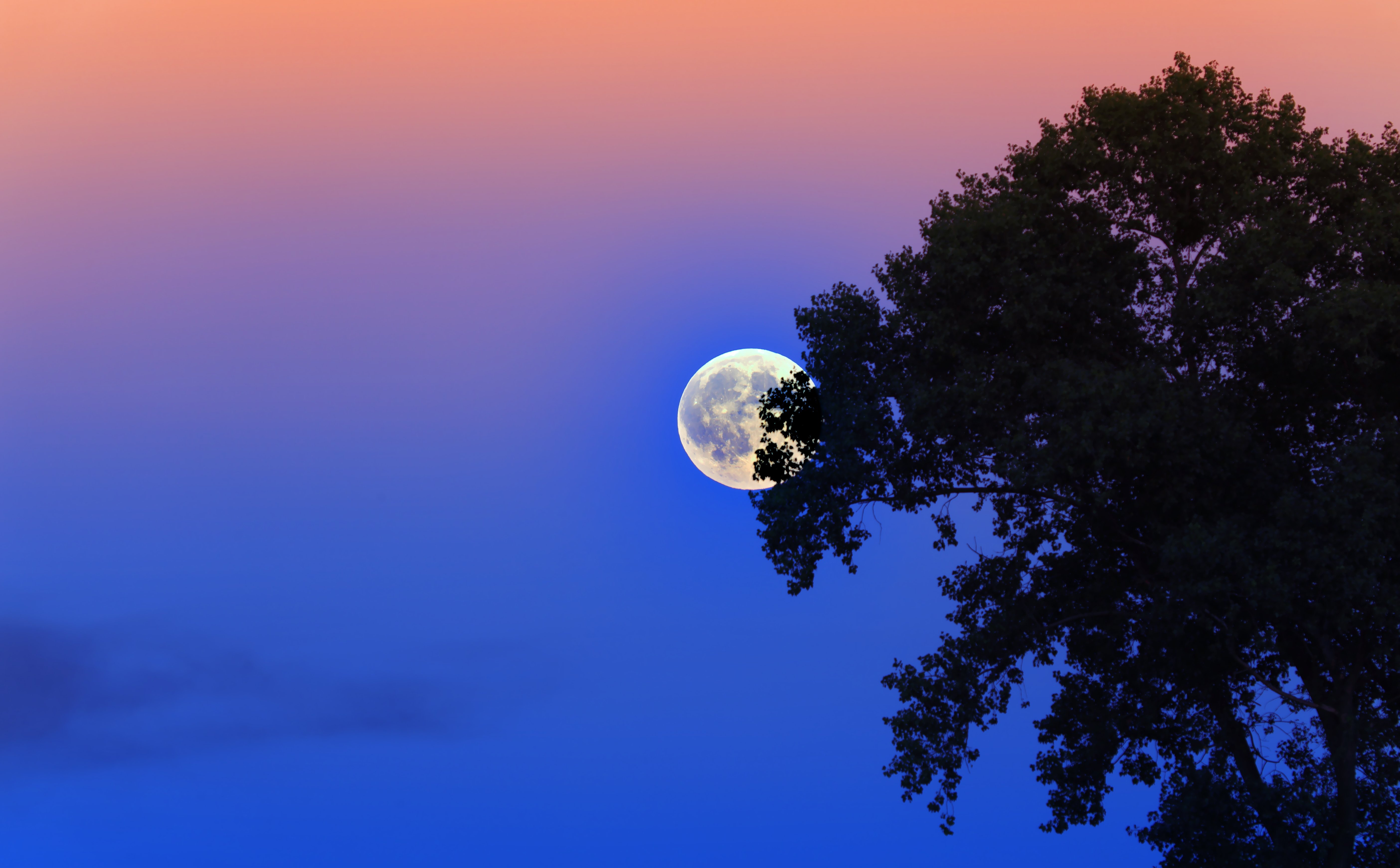 Już niedługo na niebie pojawi się Truskawkowy Księżyc. Kiedy wypada czerwcowa pełnia?