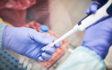 Warsaw Genomic pomoże szpitalom z testami na koronawirusa