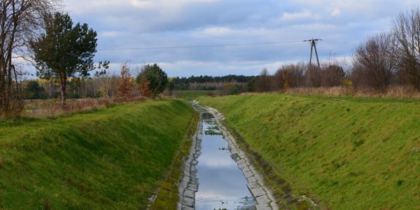 Sąd Najwyższy: Nie trzeba pytać sąsiadów o zgodę na dostęp do rowu melioracyjnego