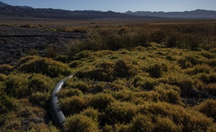 Chile:  wyciek 40 tysięcy litrów paliwa, zagrożone parki narodowe
